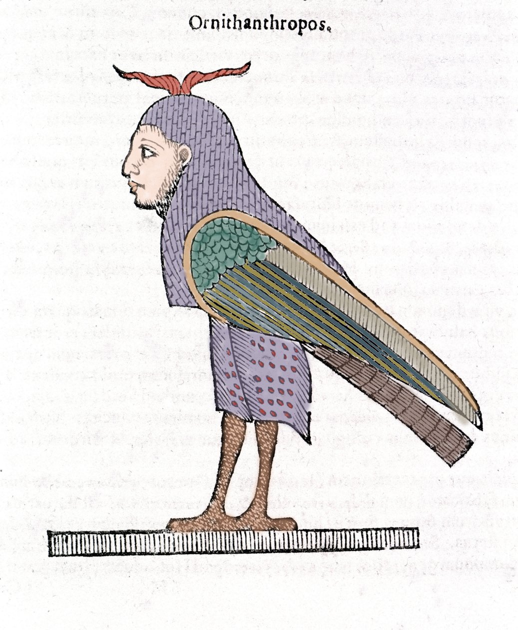 Ornithantropos。人間の頭を持つ鳥。ウリッセ・アルドロヴァンディ "De monstrorum Historia" ボローニャ 1642年 作： ウリッセ・アルドロヴァンディ