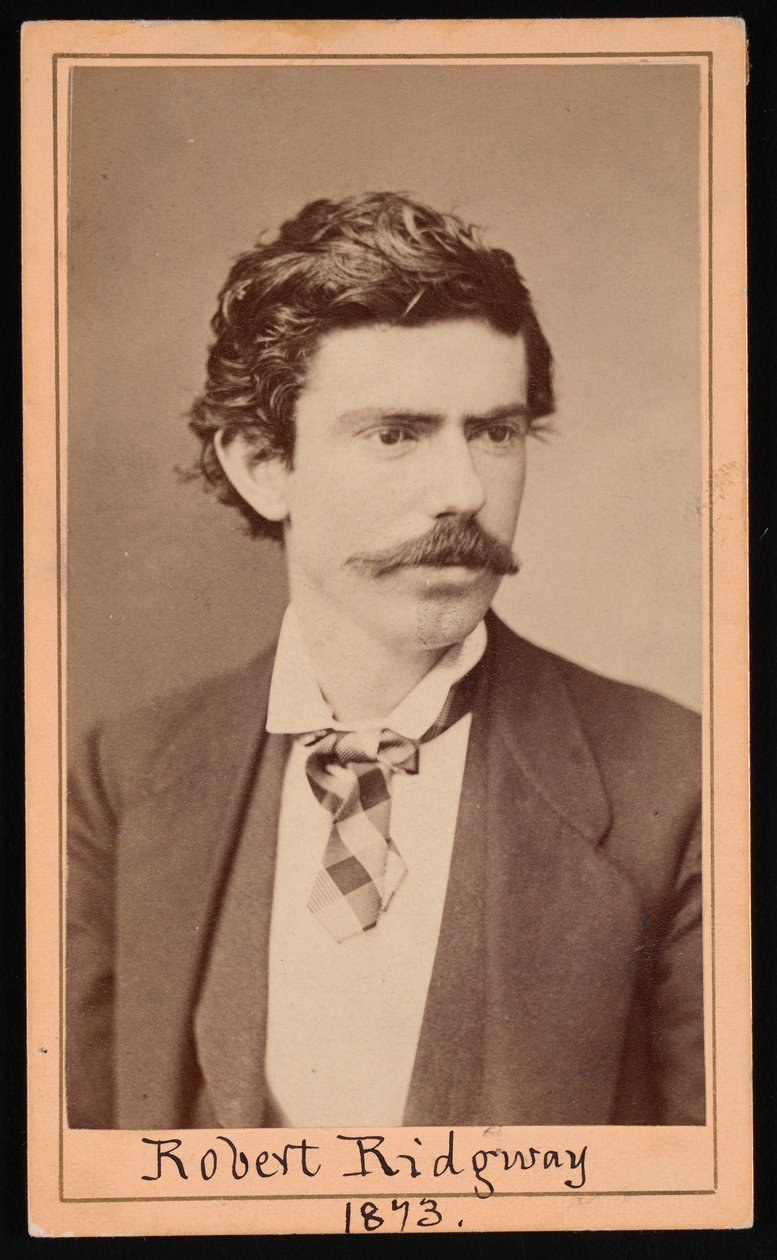 ロバート・リッジウェイの肖像、1850～1929年、1873年4月。 作： ウルケブラザーズ