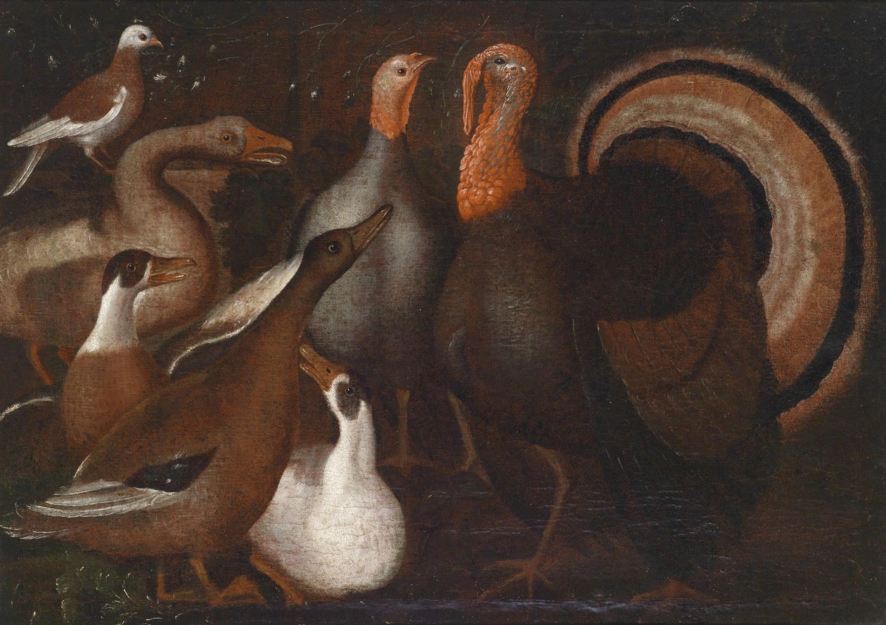 七面鳥、アヒル、鳩 作： 不明不明