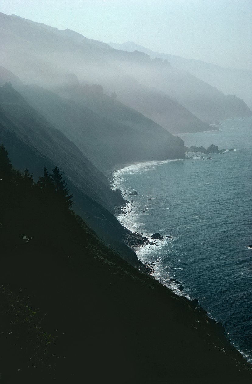 カリフォルニアの海岸線 作： 不明不明