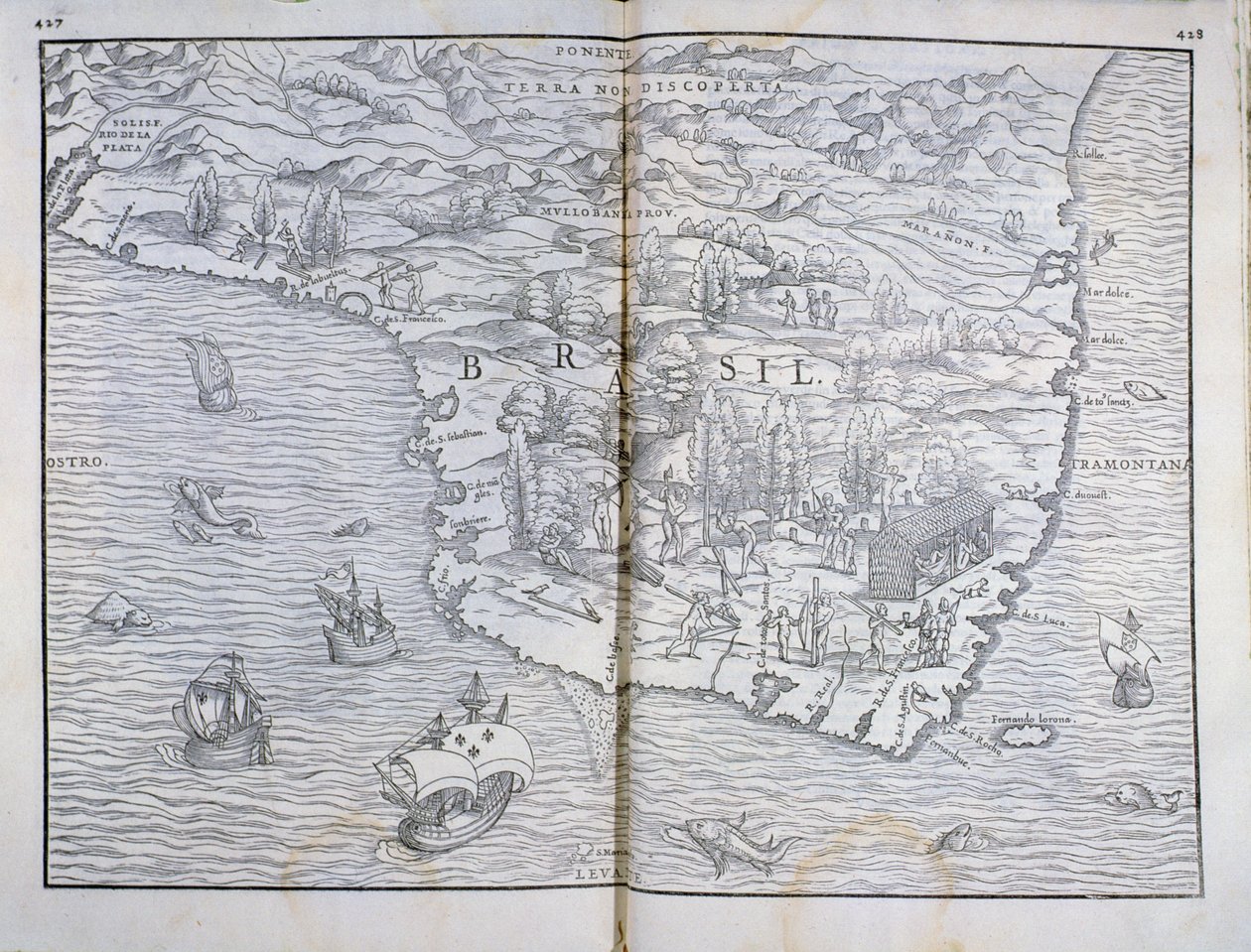 ブラジル北東部の地図 作： 不明不明