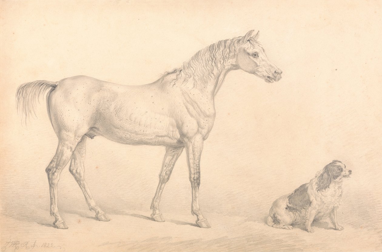 灰色の馬と黒と白のスパニエルの肖像、右名誉C.アルブの財産... 作： 不明不明