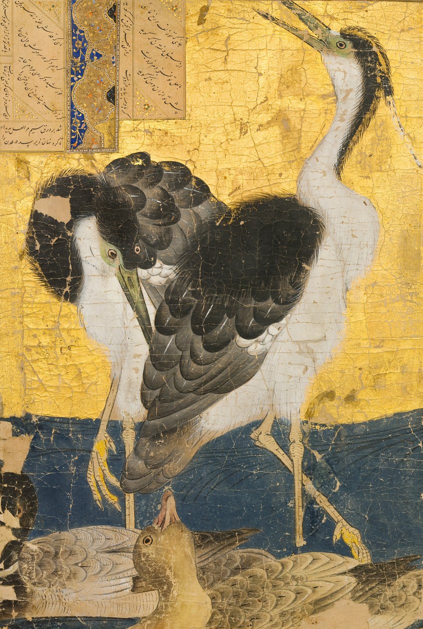 不明、イラン、14世紀-アヒルと2つのサギ 作： 不明不明