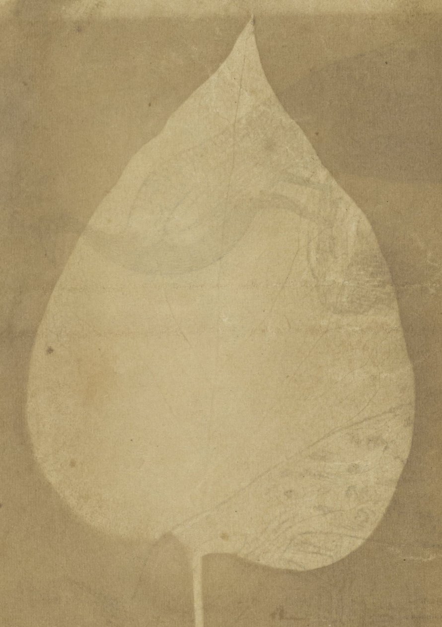 不明なメーカー、イギリス、1843年頃のアクティブなインド-（A Single Leaf） 作： 不明不明