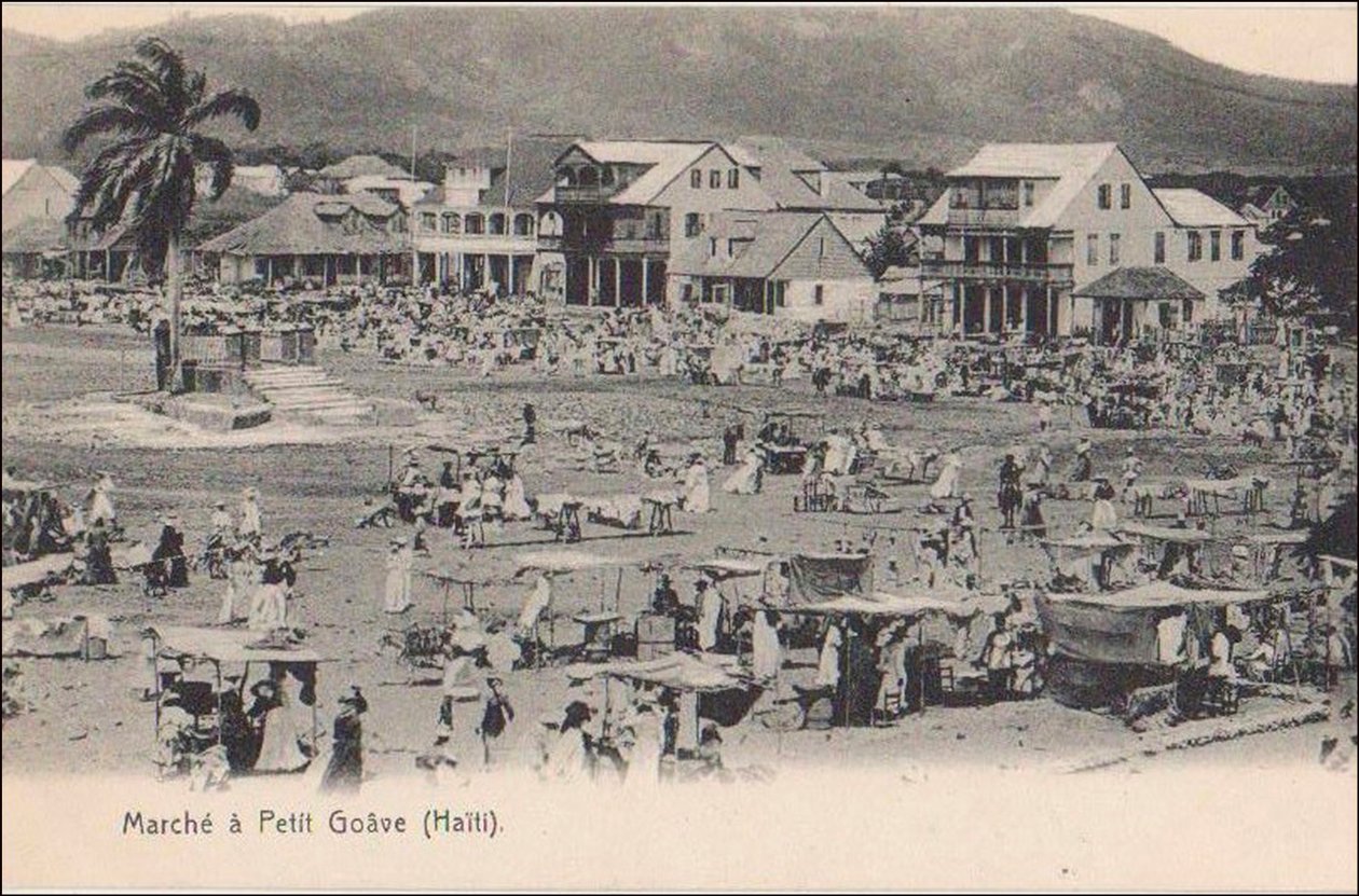 19356N HAITI walk from Pete Goave 作： 不明