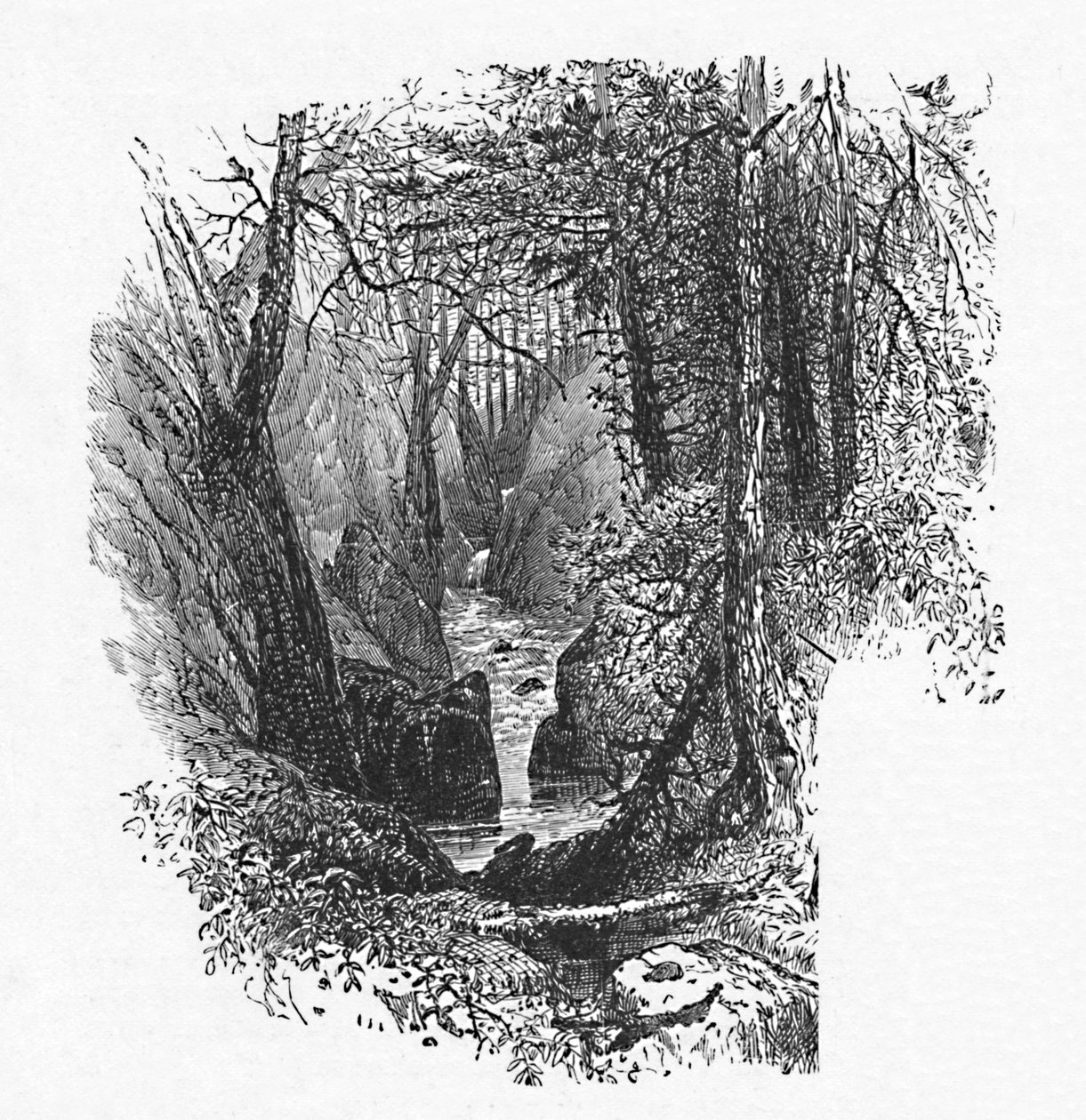 湖への餌箱、1883年 作： 不明