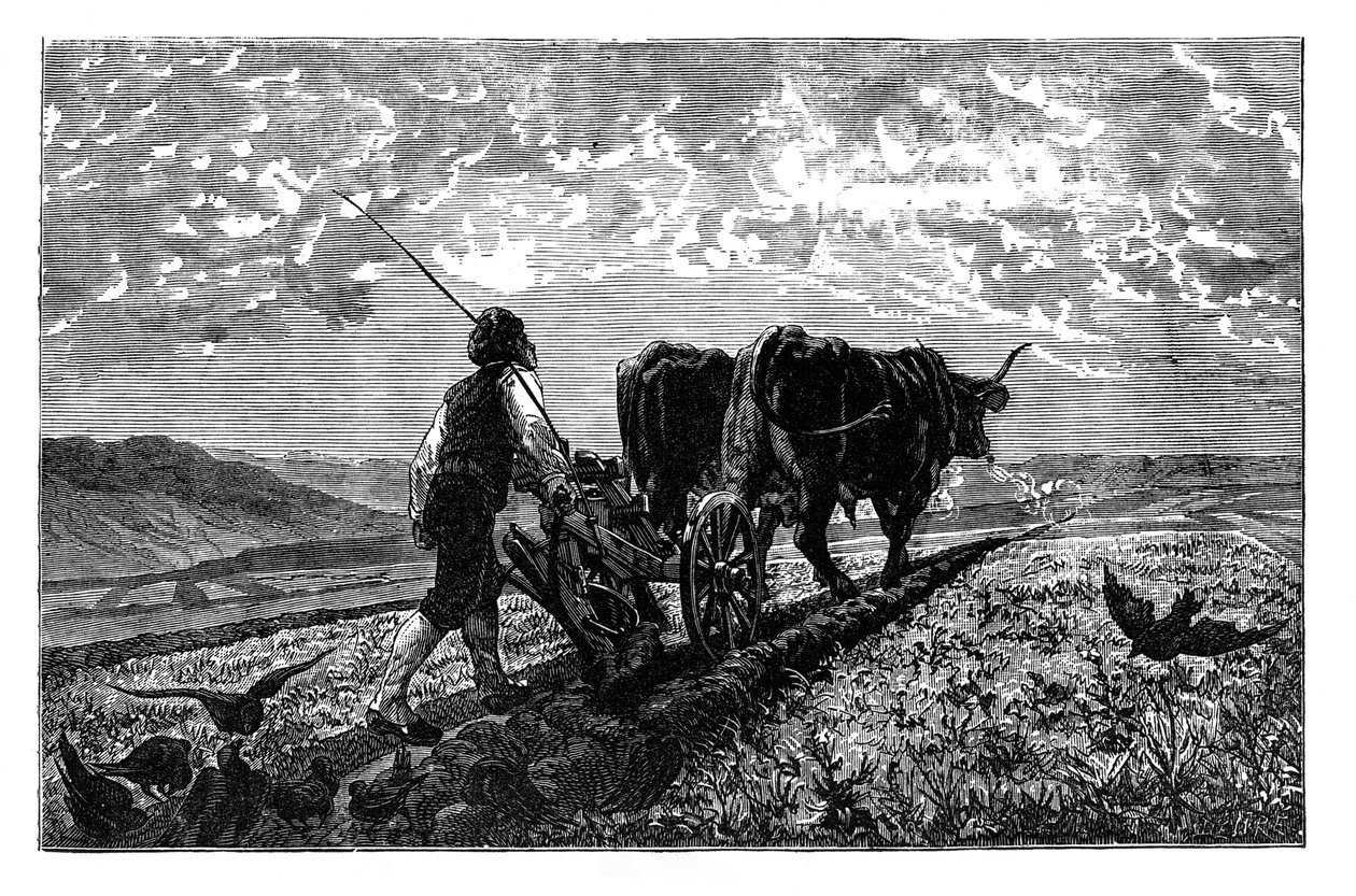 フランスの農業専門家、c1890 作： 不明