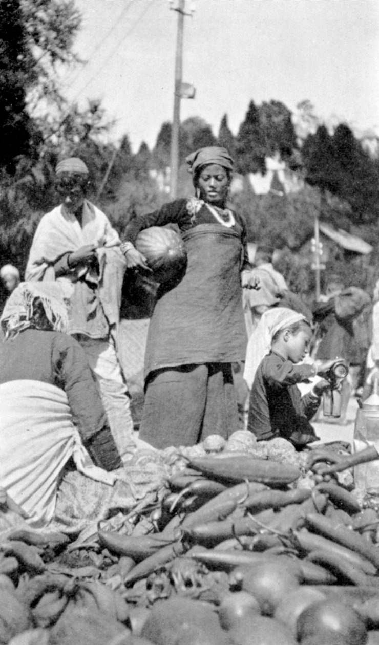 ダージリン、インド、西ベンガル州の食品市場、c1910 作： 不明