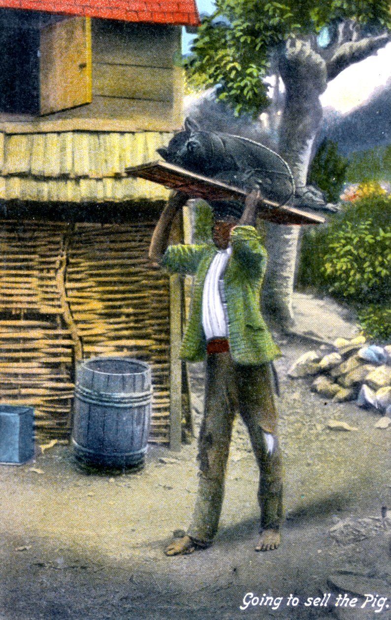 ブタ、ジャマイカ、c1900を販売するために市場に行く途中の男 作： 不明