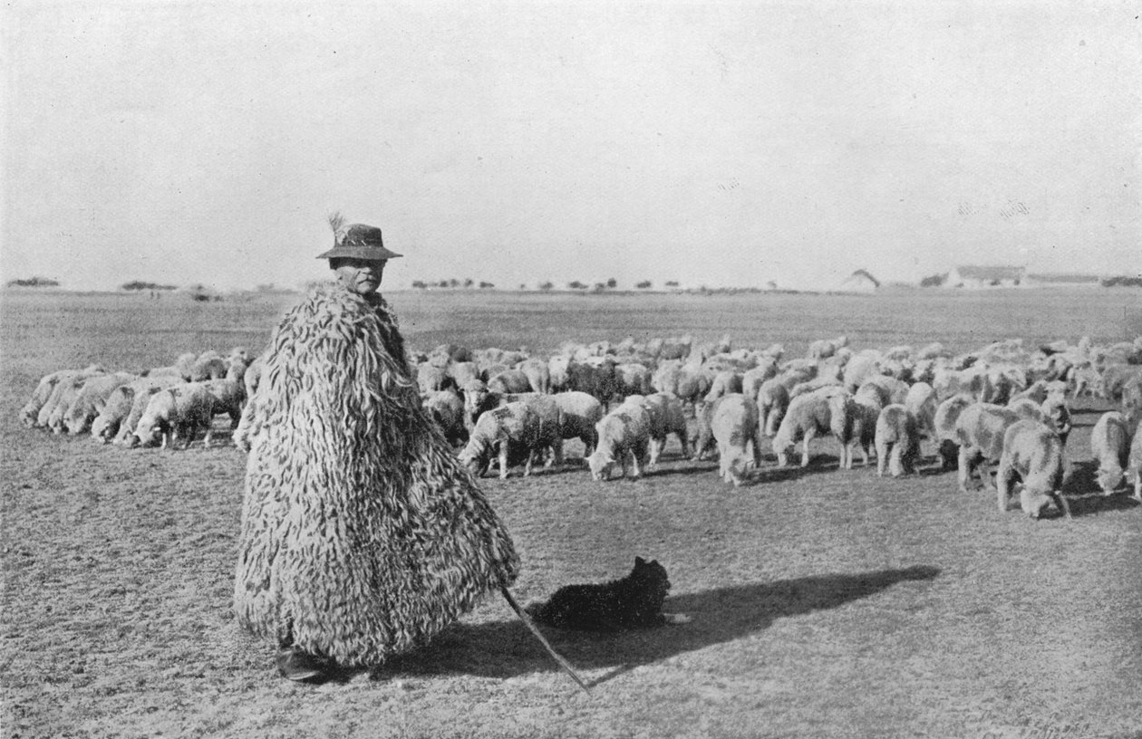 典型的な羊飼いと彼の群れは、1915年にハンガリーの平原に 作： 不明
