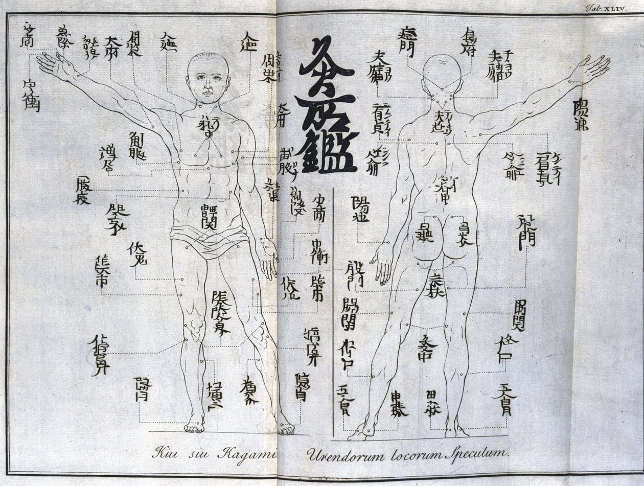 鍼灸：お灸のツボを示す人体図（日本）（お灸に関する図、1690年頃 作： 不明