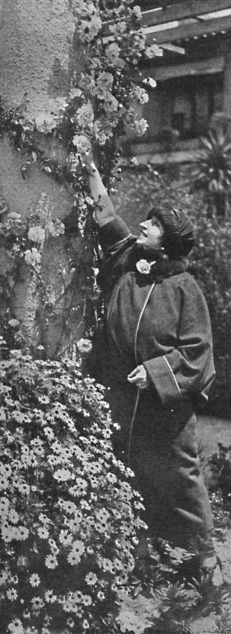Amelita Galli-Curci-バラを集める素晴らしい歌姫、彼女のお気に入りの花、c1925 作： 不明