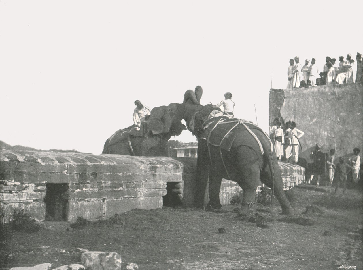 象の戦い、ハイデラバード、インド、1895年。 作： 不明