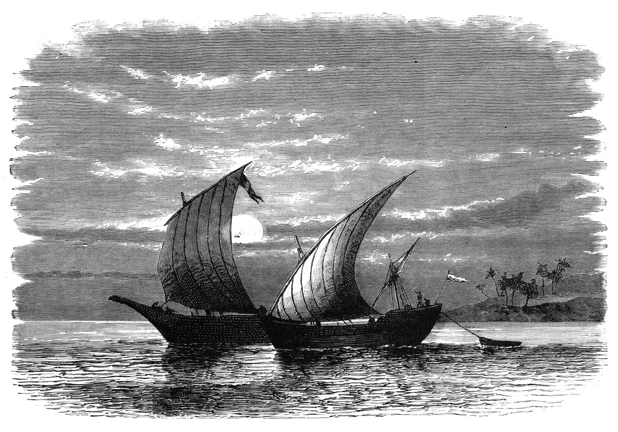 紅海のアラブダウ船、c1890 作： 不明