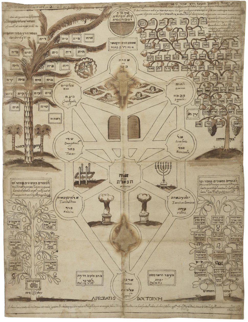 Arbor Cabalistica Kabbalistic Tree、ca 1625 作： 不明