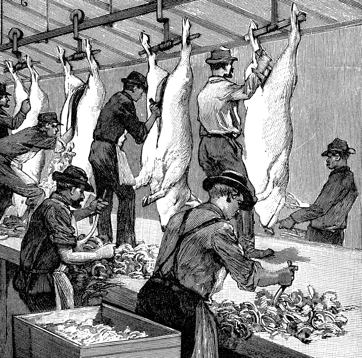 アーマーカンパニーズの豚食肉処理場、米国イリノイ州シカゴ、1892年 作： 不明