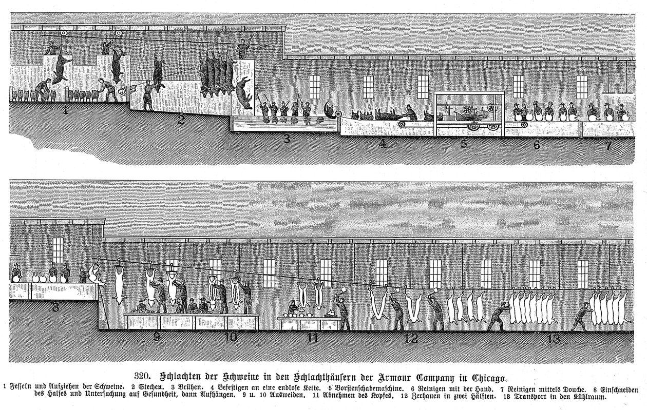 アーマーカンパニーズブタ屠殺場、シカゴ、イリノイ、米国、1895 作： 不明