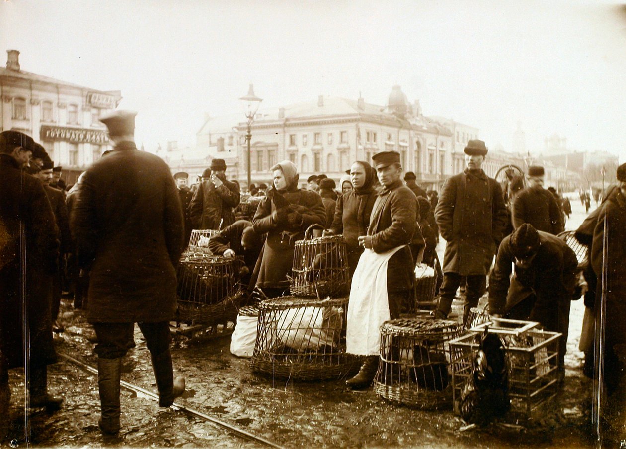 鳥の市場、トルブナヤ広場、モスクワ、ロシア、1908