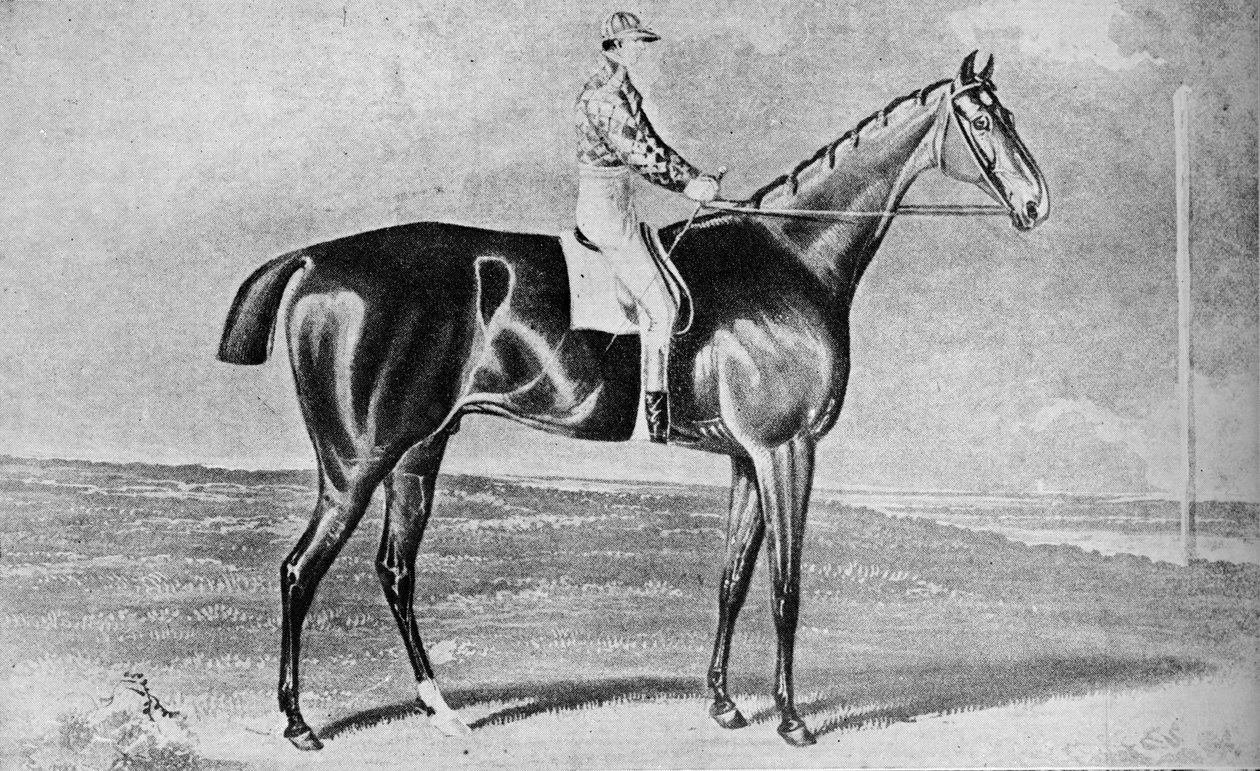 ブラックロック、1814-1831、1911 作： 不明