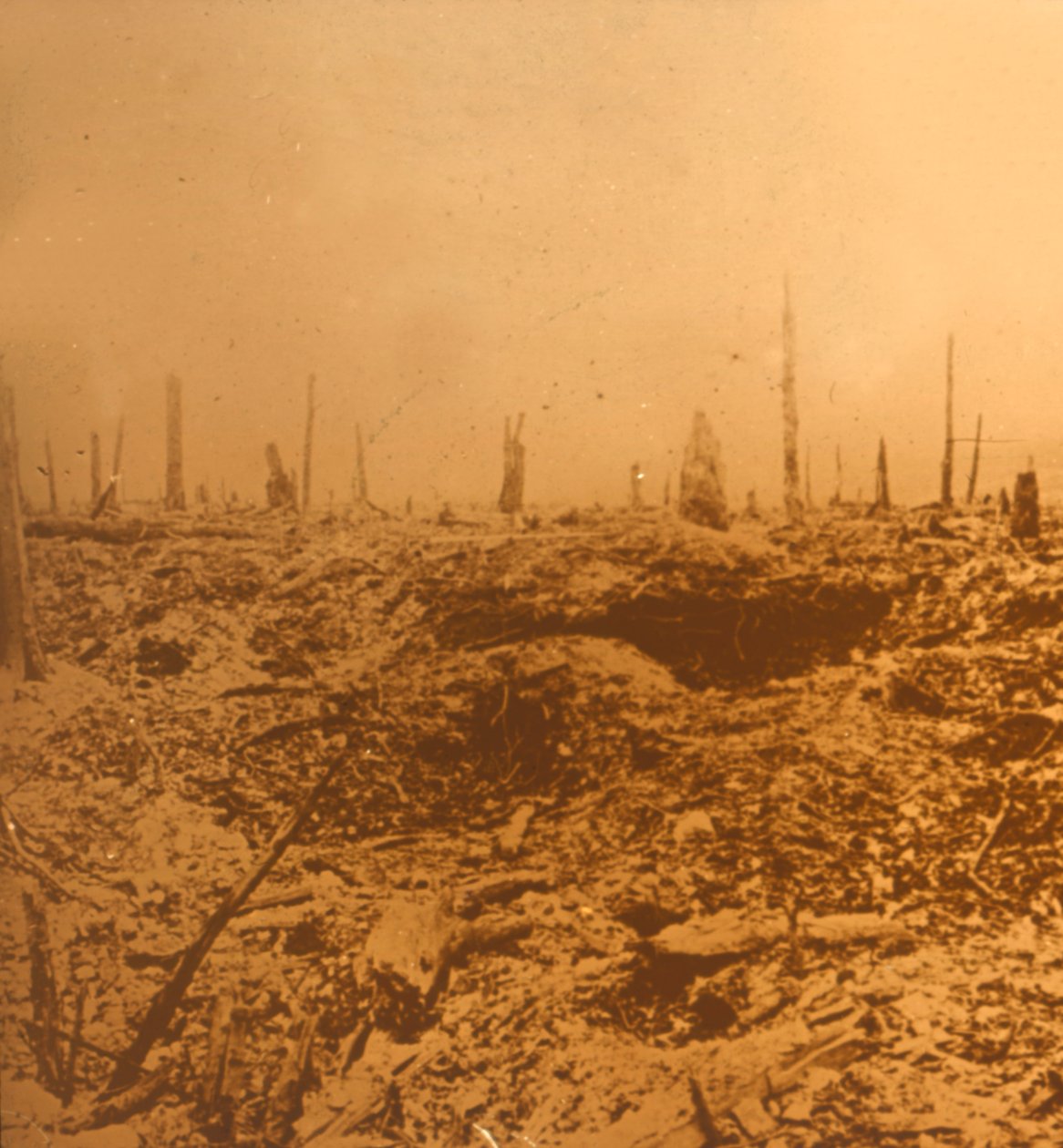 Bois du Chapitre、ヴォー、北フランス、c1914-c1918 作： 不明