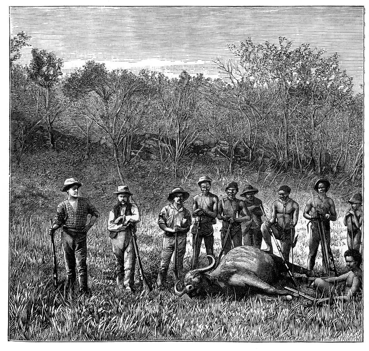 南アフリカ、トランスバールのバッファローハンター、c1890 作： 不明