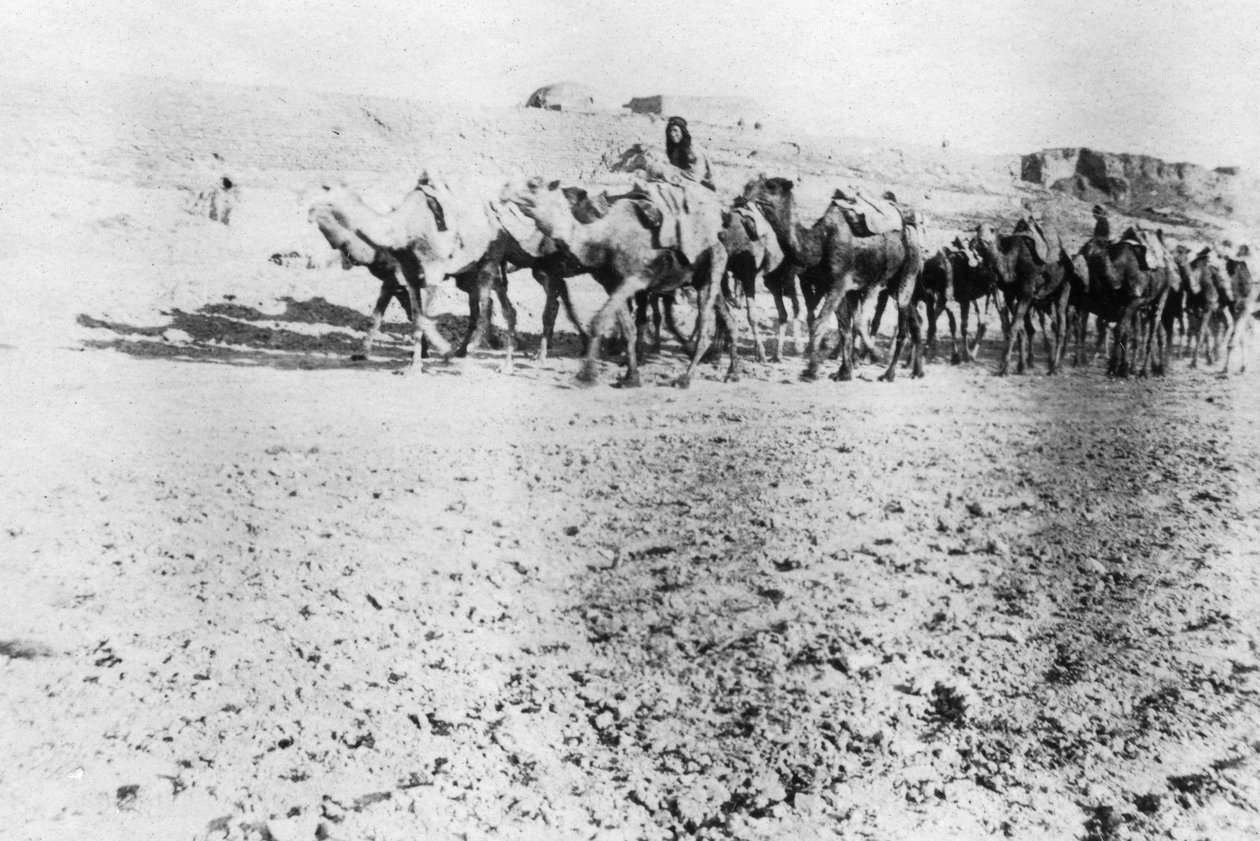 キャメルトレイン、モスル、メソポタミア、1918年 作： 不明