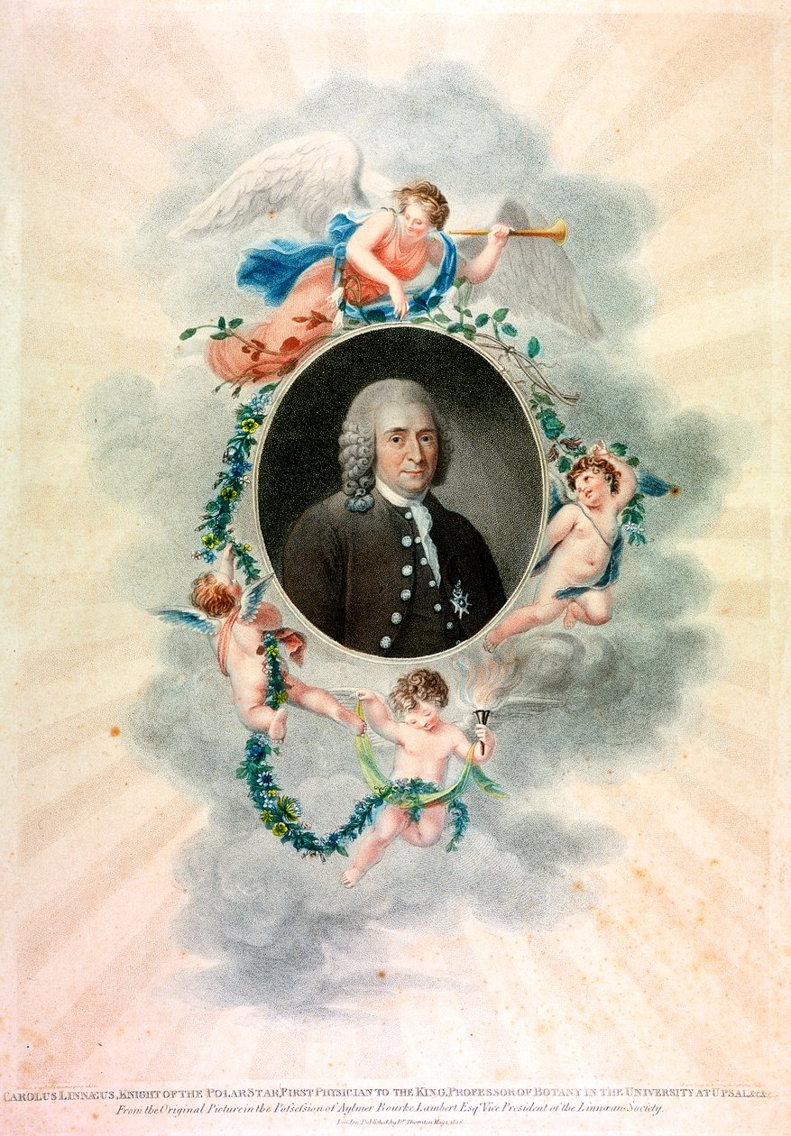 Carolus Linnaeus、スウェーデンの博物学者および医師、1807年 作： 不明