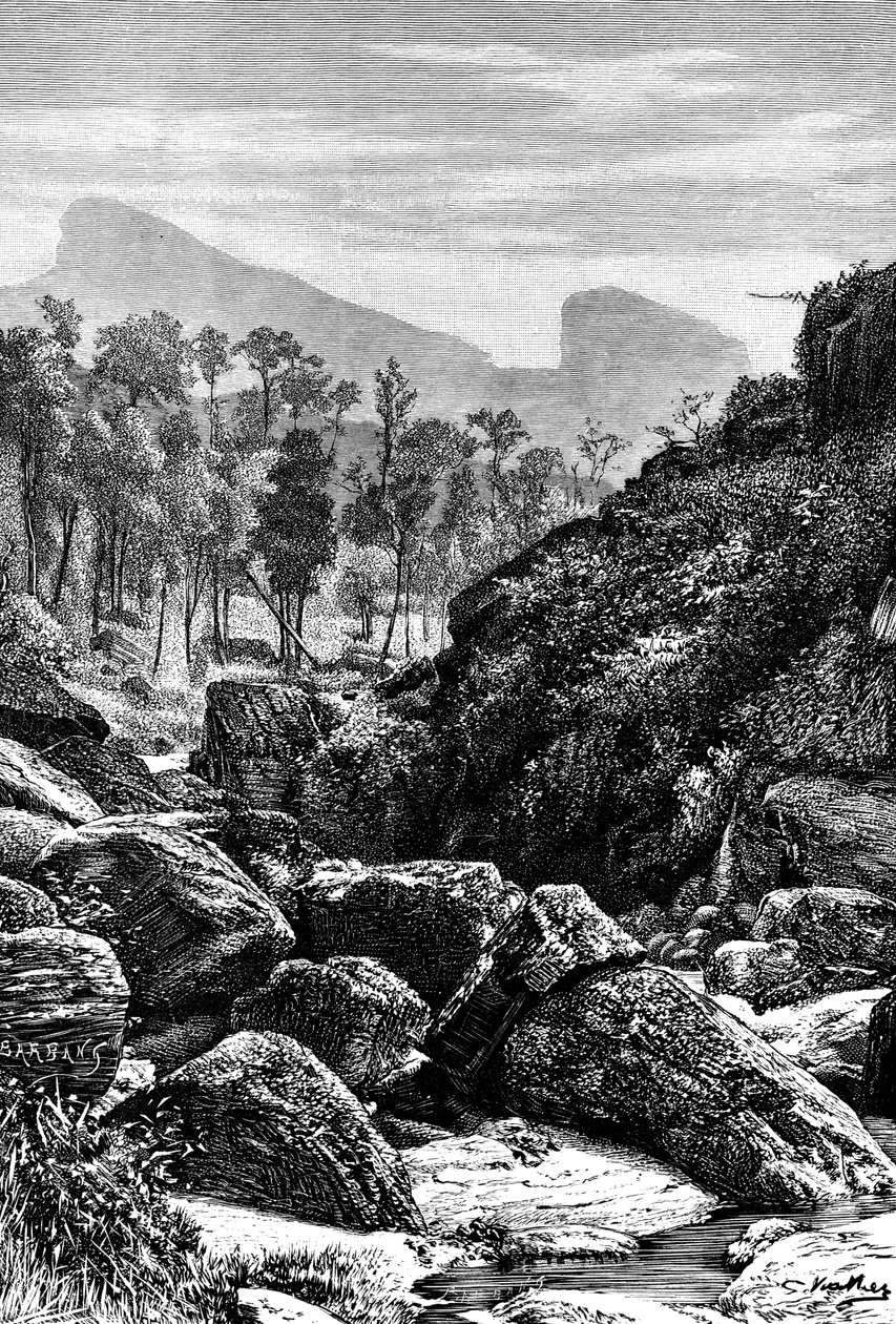 セイロンスリランカ、1895 作： 不明