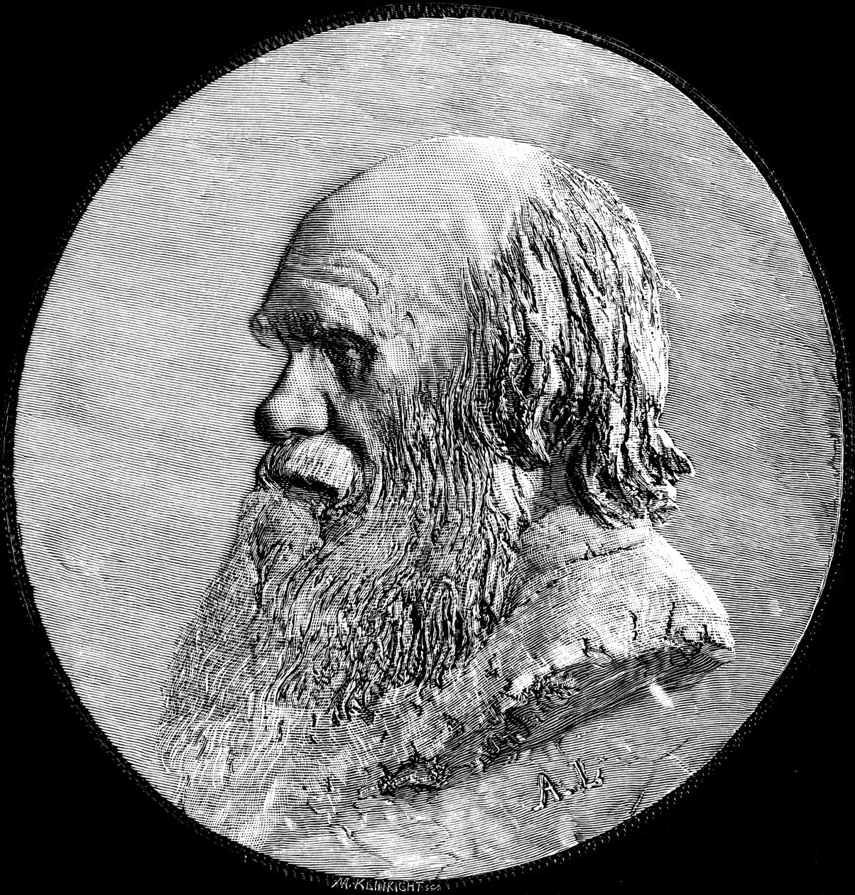 チャールズダーウィン、1882年 作： 不明