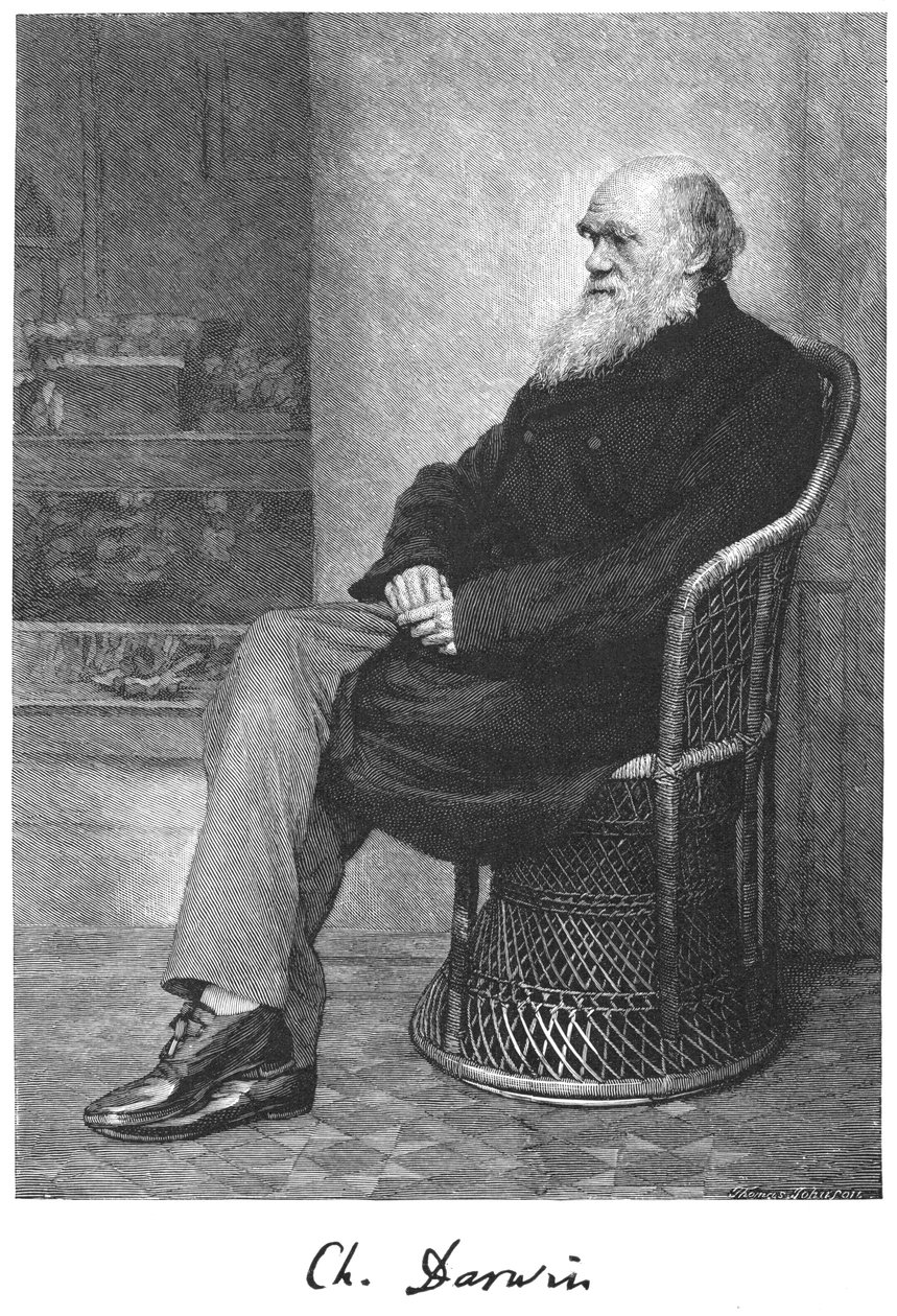 チャールズダーウィン、イギリスの博物学者、1883年 作： 不明