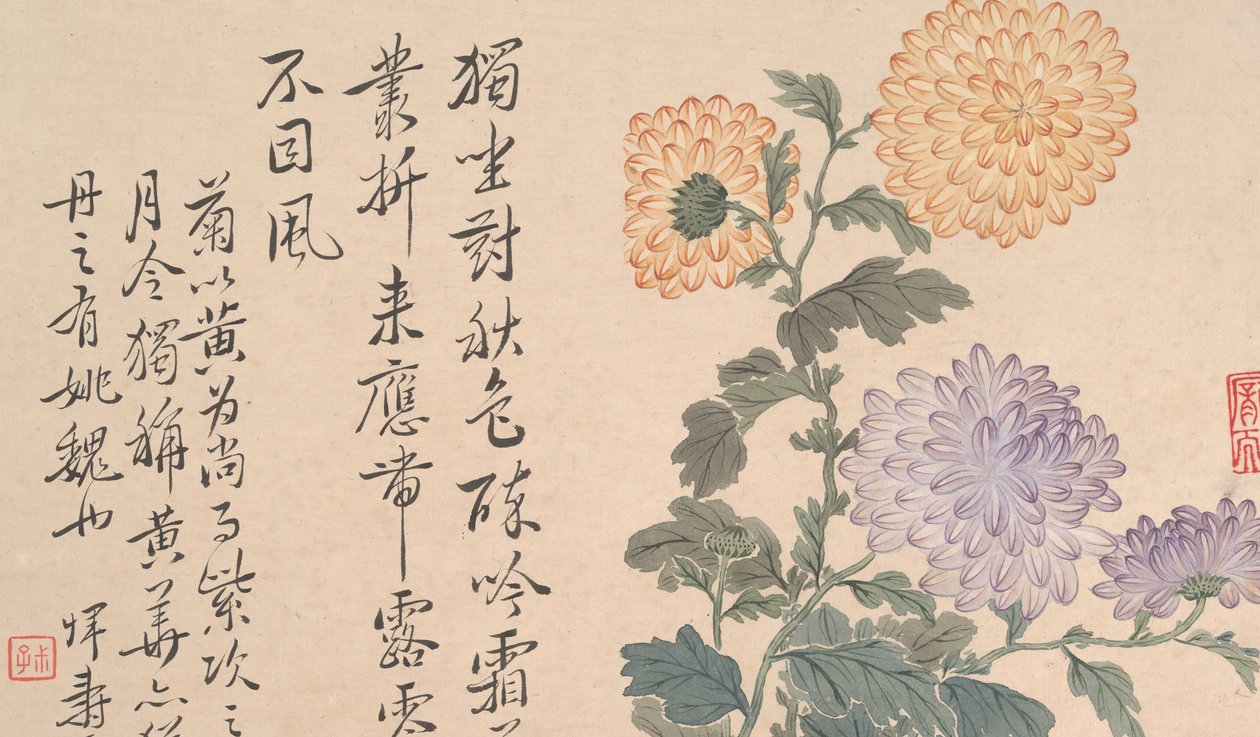 菊。 作： 不明