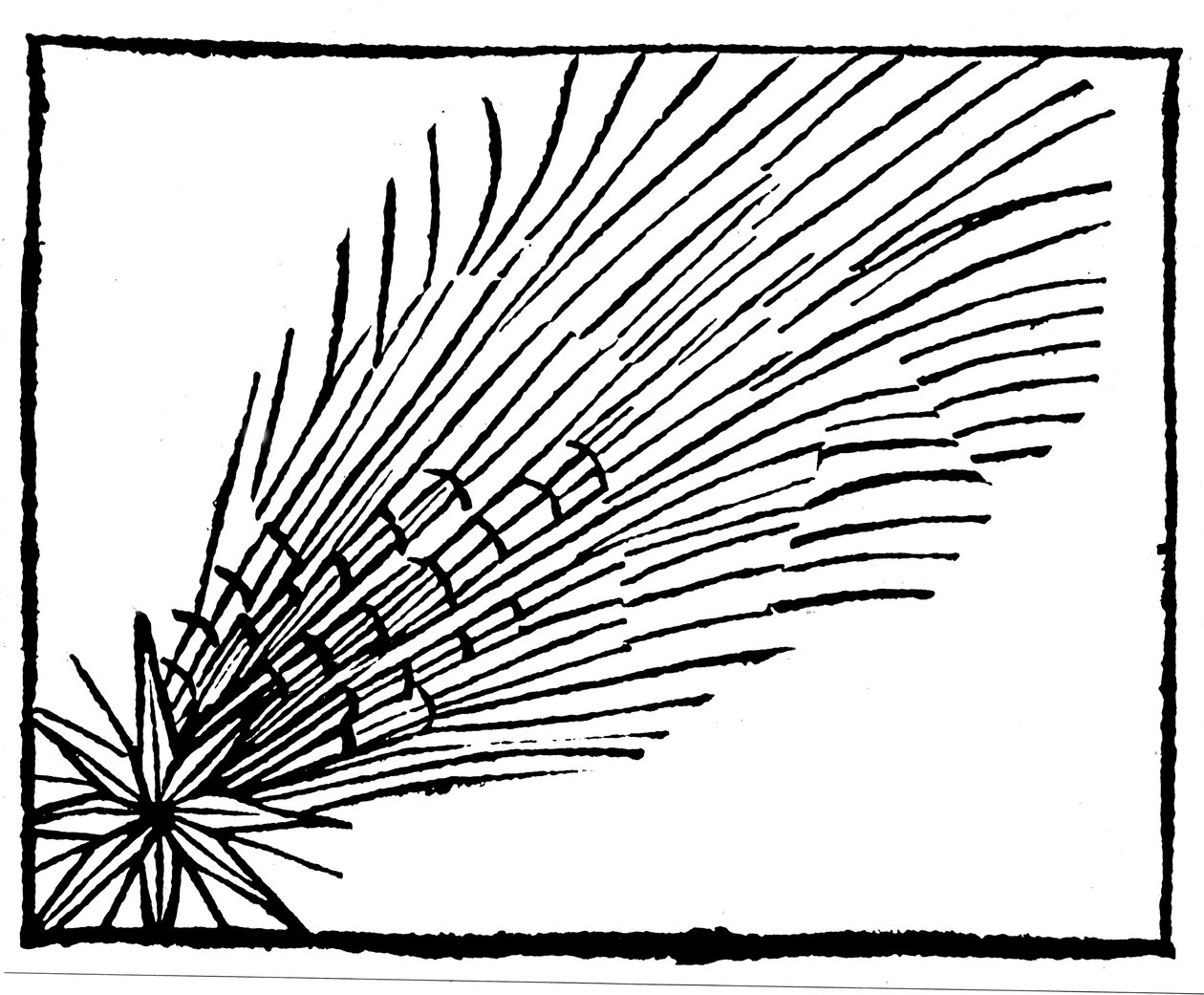 ハレー684年の彗星、1493年 作： 不明