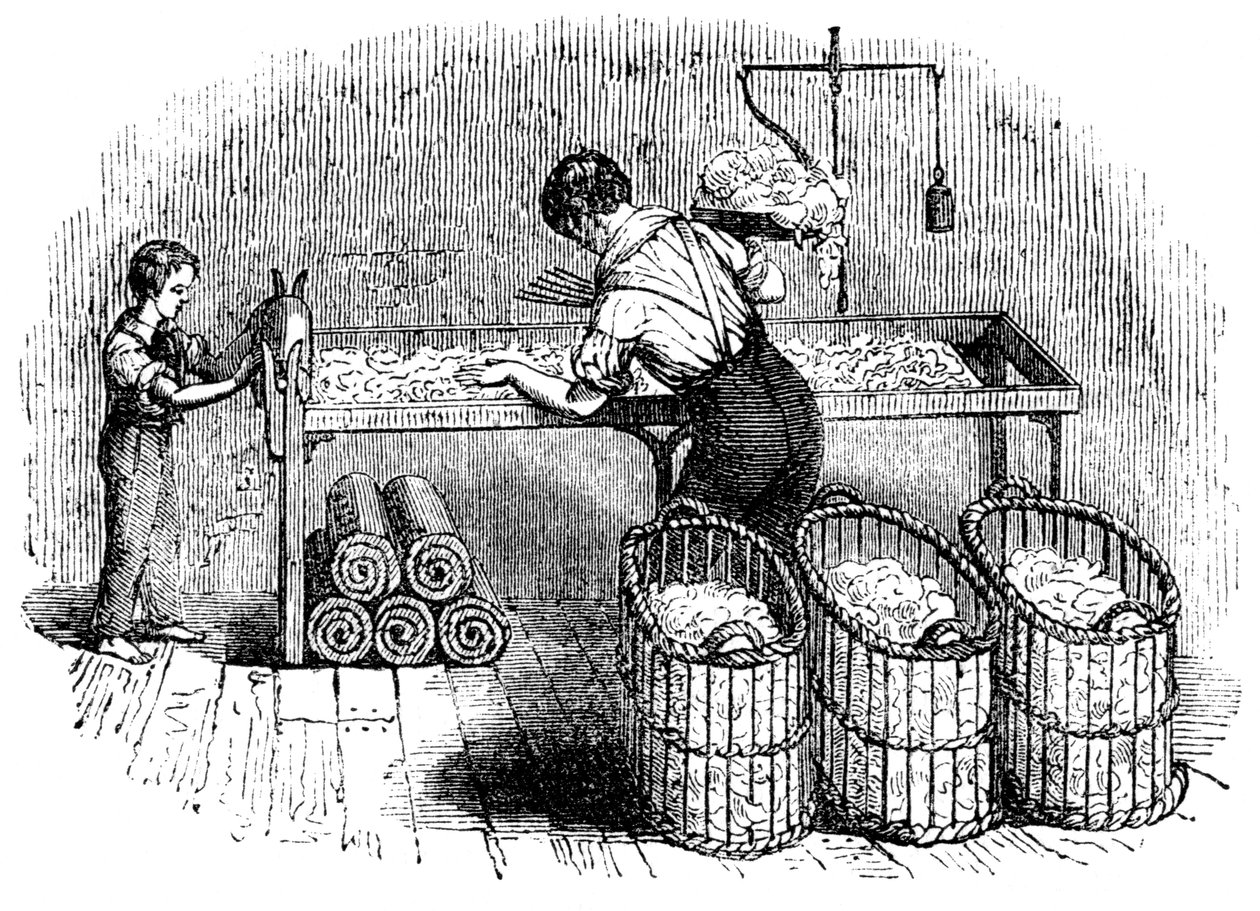綿製造、c1845 作： 不明