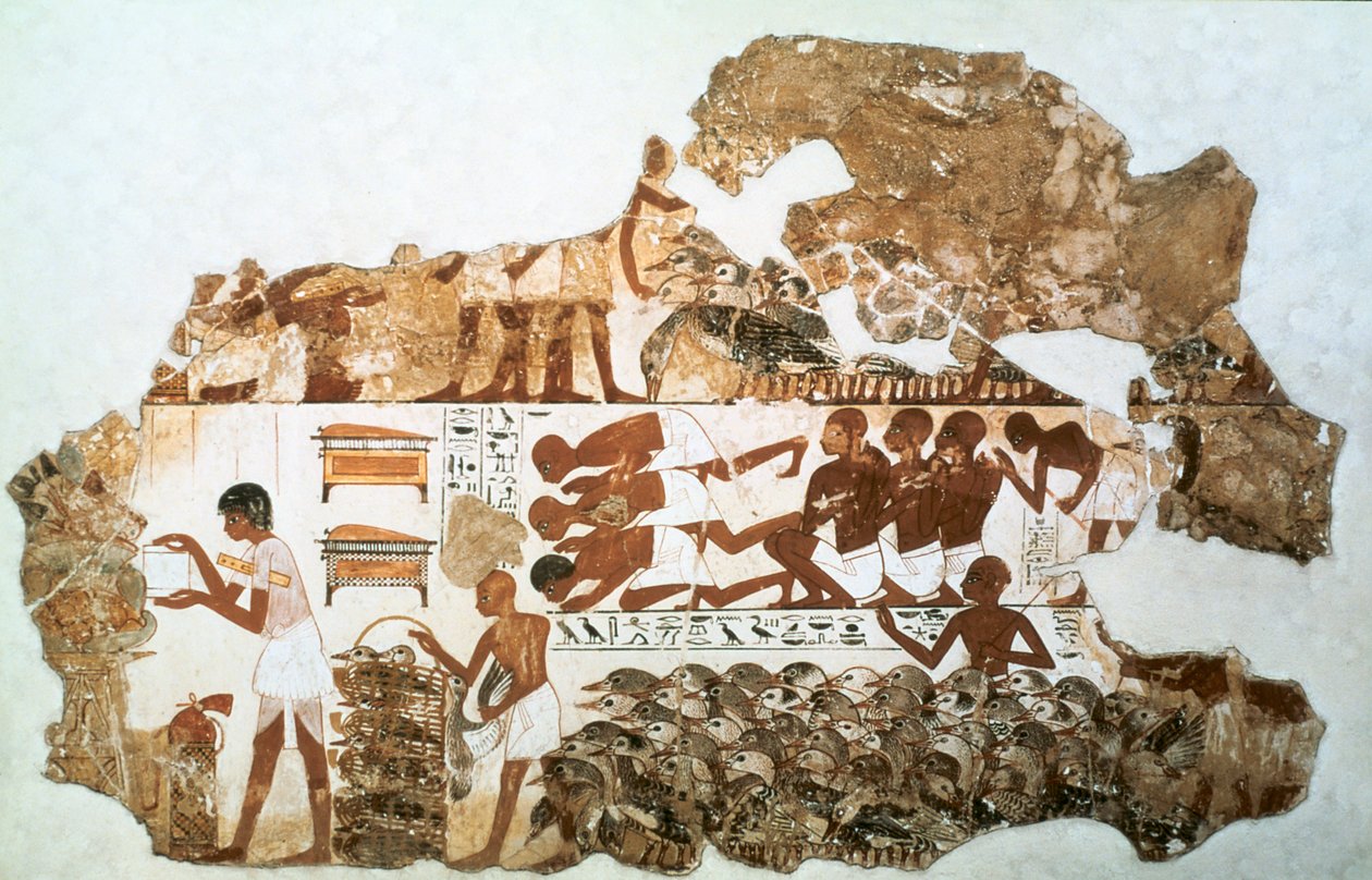 ガチョウを数える：ネバメンの墓、テーベ、エジプト、紀元前1350年頃の壁画の断片 作： 不明