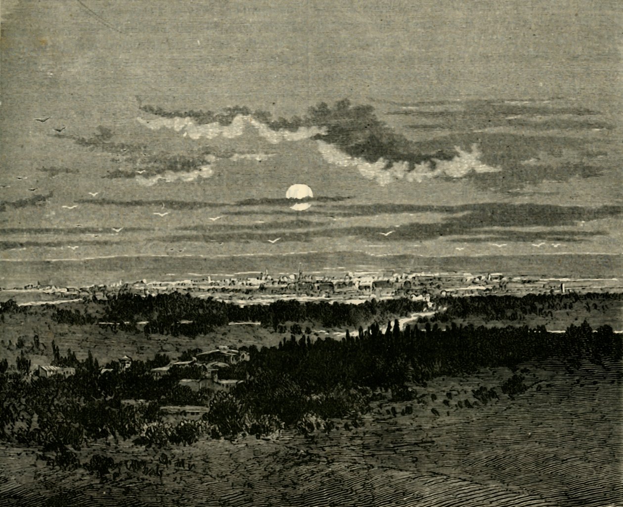 ダマスカス、1890。 作： 不明