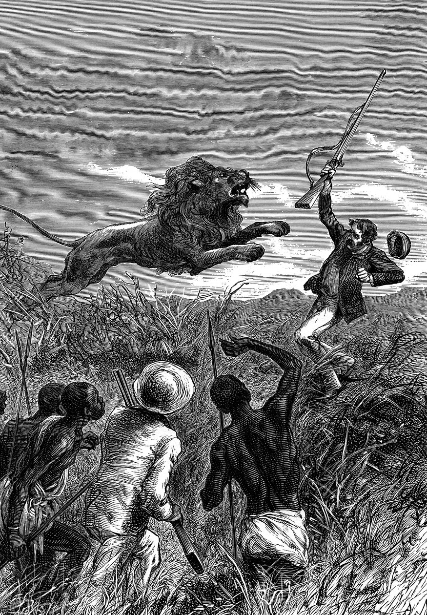 ライオンに告発されたスコットランドの宣教師でアフリカの探検家、デビッドリビングストンc1860 作： 不明