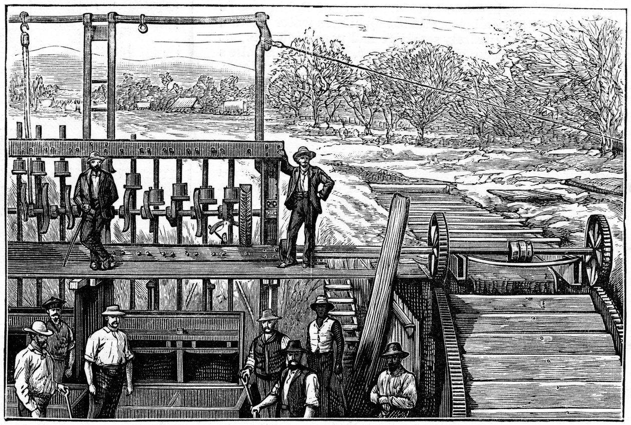 ケープゴールドフィールズ、トランスバール、南アフリカ、1887年。 作： 不明