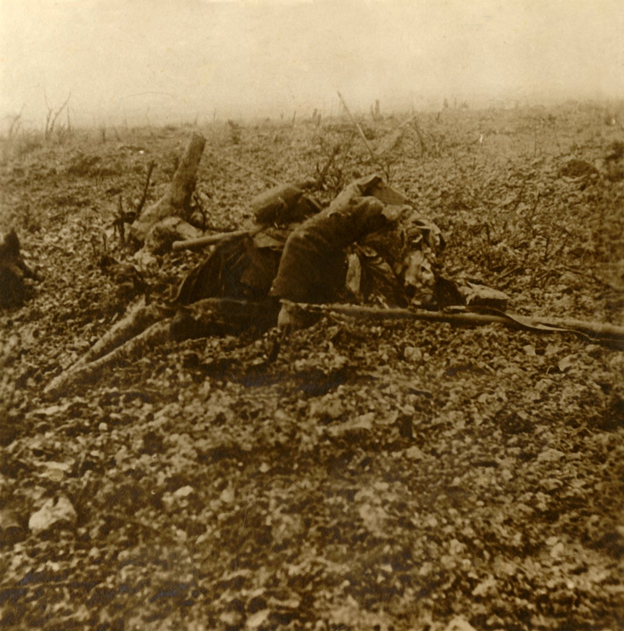1916年北フランス、ベルダンの戦いの後、丘304で死んだ兵士 作： 不明