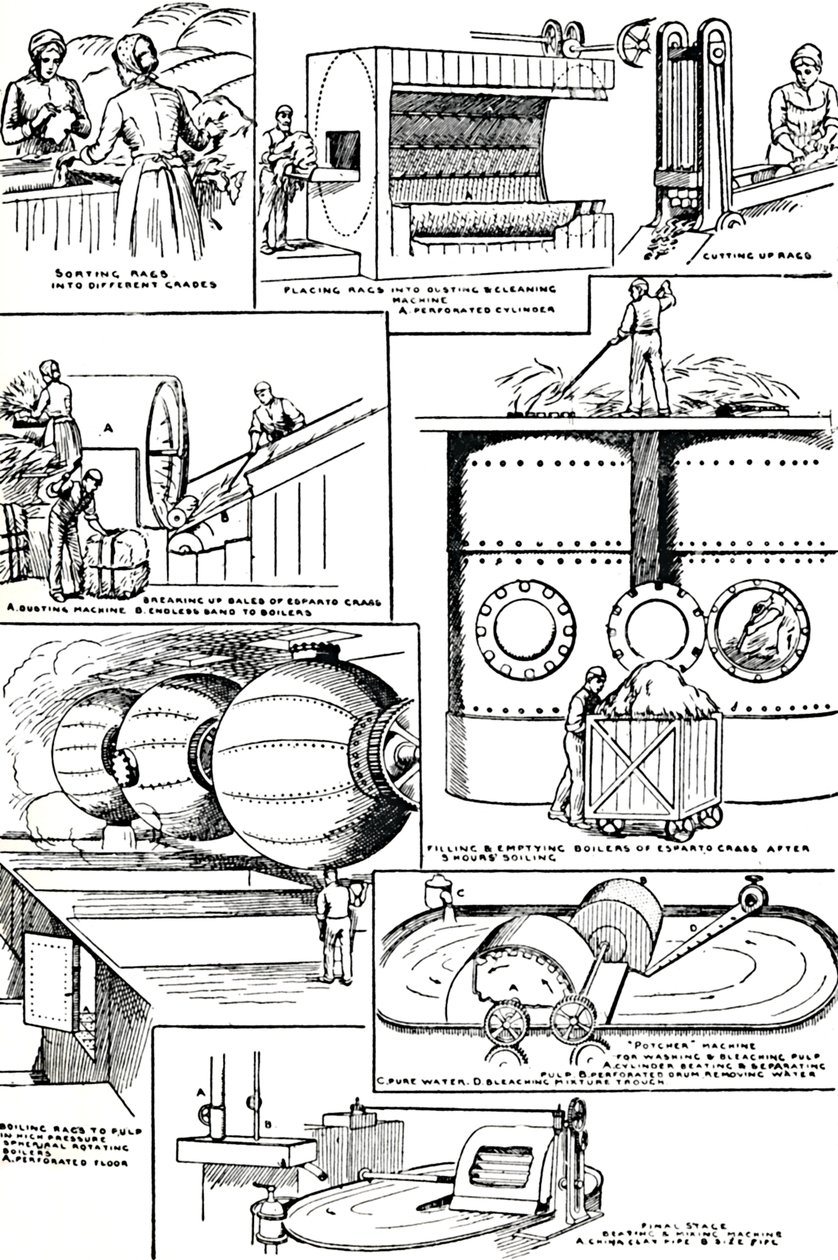 製紙用のラグとエスパルトグラスの準備を示す図、c1917 作： 不明