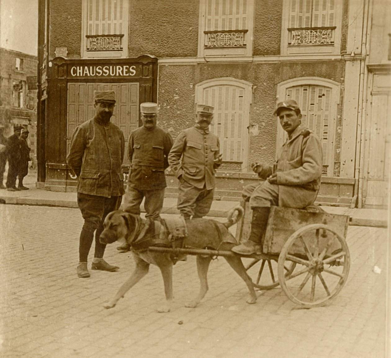 ドッグカート、フランス、c1914-c1918 作： 不明