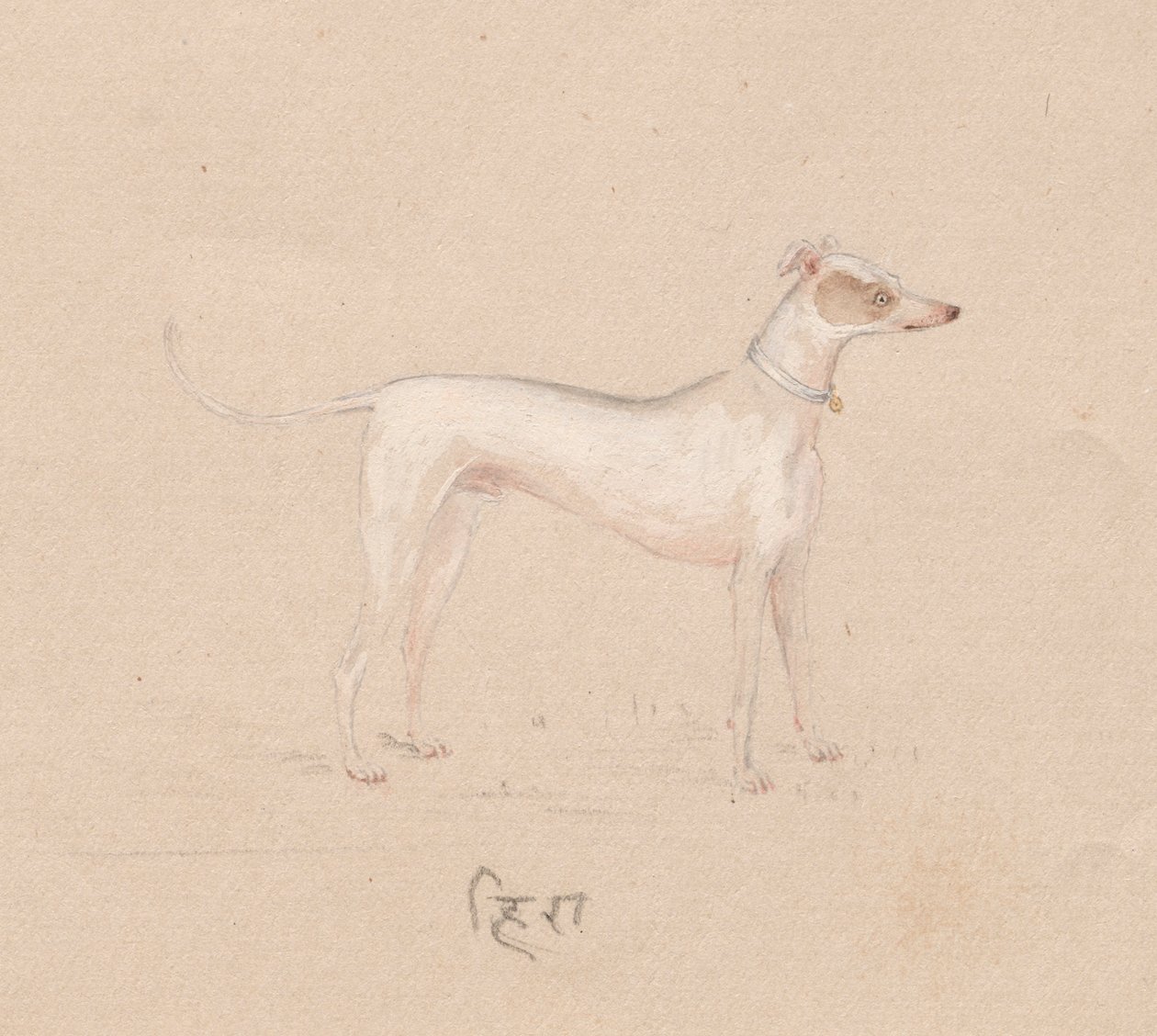 犬、1800年代。 作： 不明