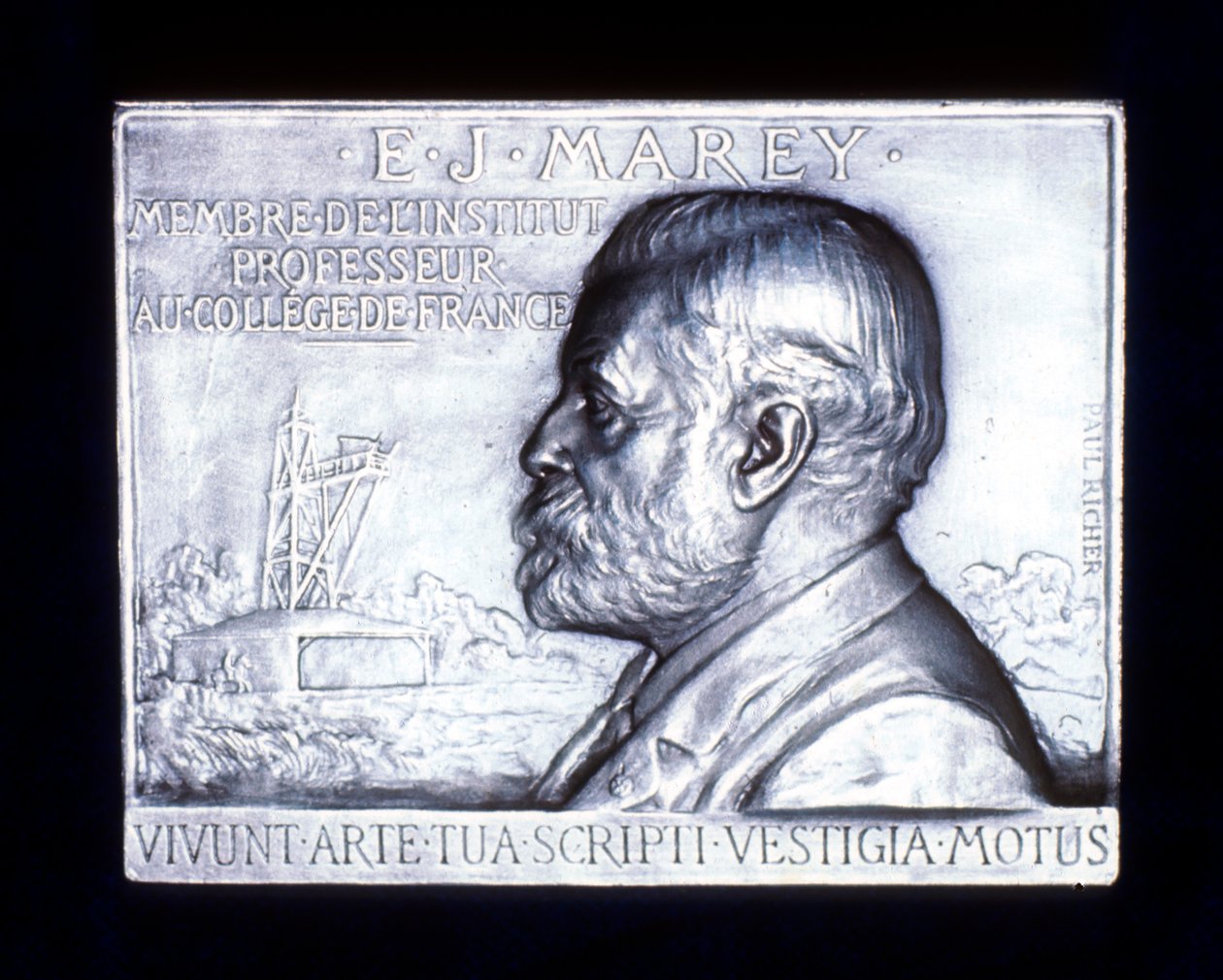 エティエンヌジュールマレー1830-1903年、フランスの生理学者、19世紀 作： 不明