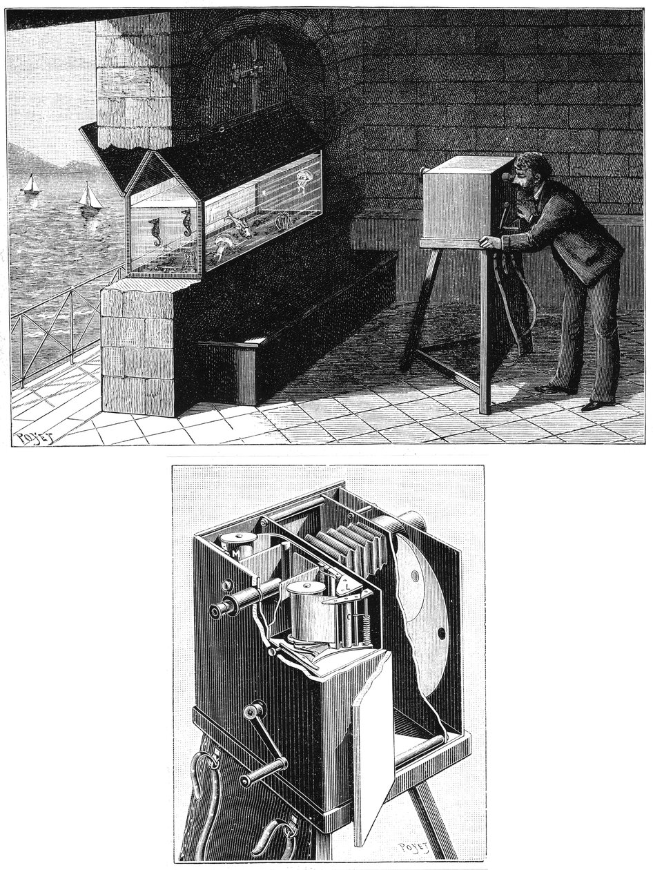 エティエンヌジュールマレー1830-1903、シネカメラ付き、1903 作： 不明