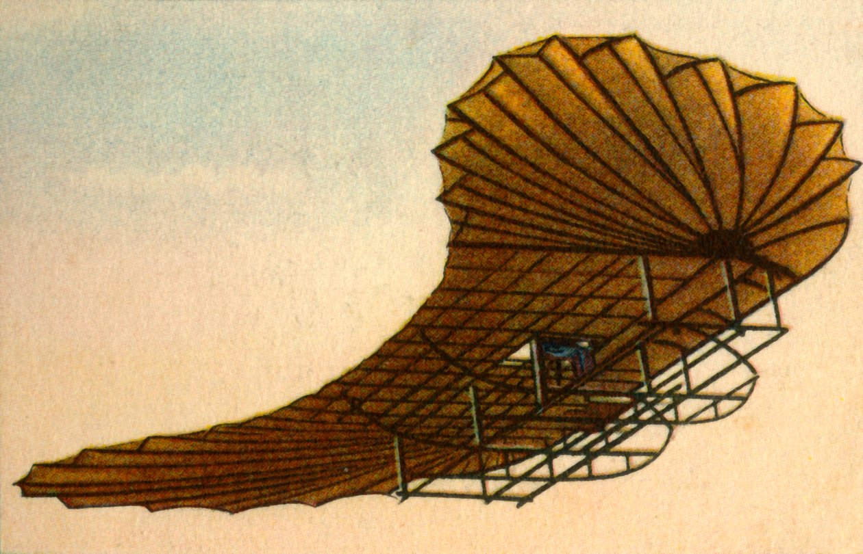 エトリクスザノニアグライダー、1906年。1932年。 作： 不明