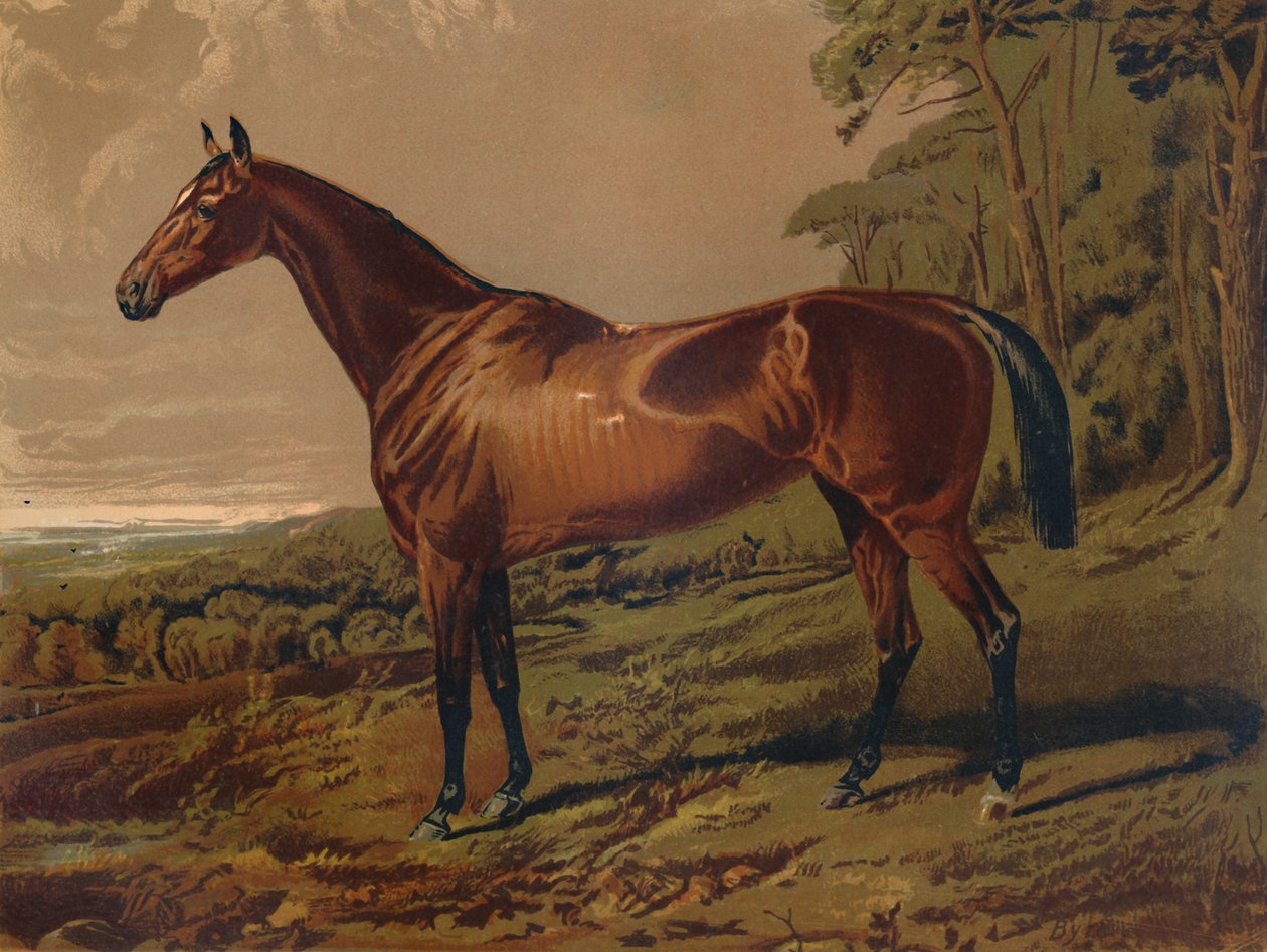 フェアネル、c1879。 作： 不明
