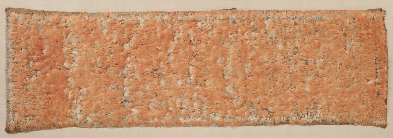 羽毛パネル、600-1500。 作： 不明