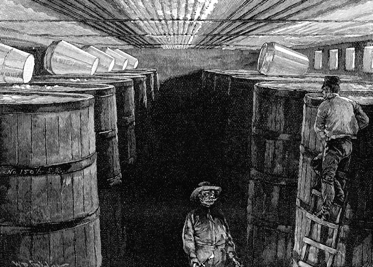 1885年にアメリカの醸造所でセラーを発酵 作： 不明