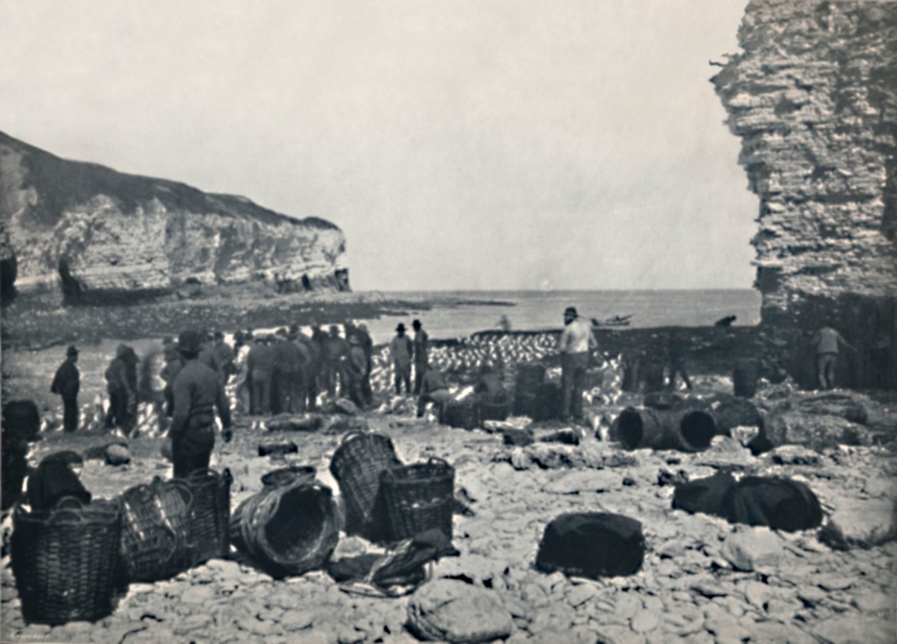 Flamborough-1895年に働く漁師 作： 不明