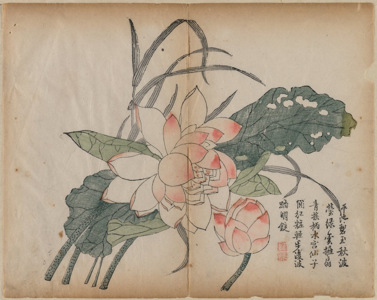 開花蓮とつぼみ、18世紀。 作： 不明