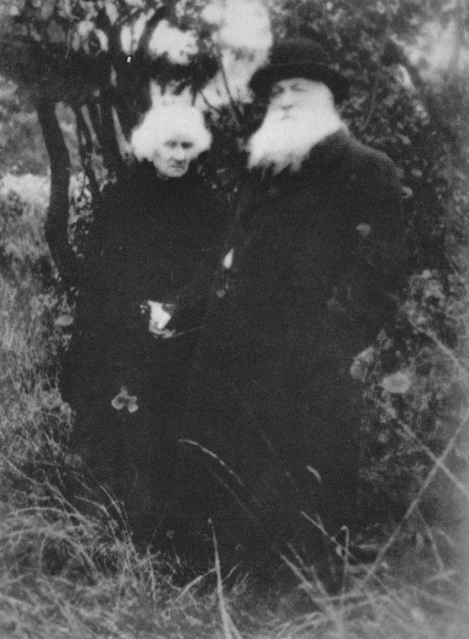 フランスの彫刻家、オーギュストロダンが1916年、ムードンにある彼の別荘の公園で1939年に撮影しました。 作： 不明